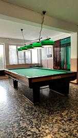 Biliardo Professionale Hartes