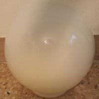 bolla per lampade o lampadari 
