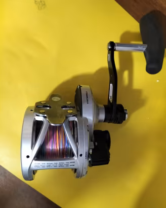 Mulinello Penn FATHOM 2 FTHII40NLD2LH