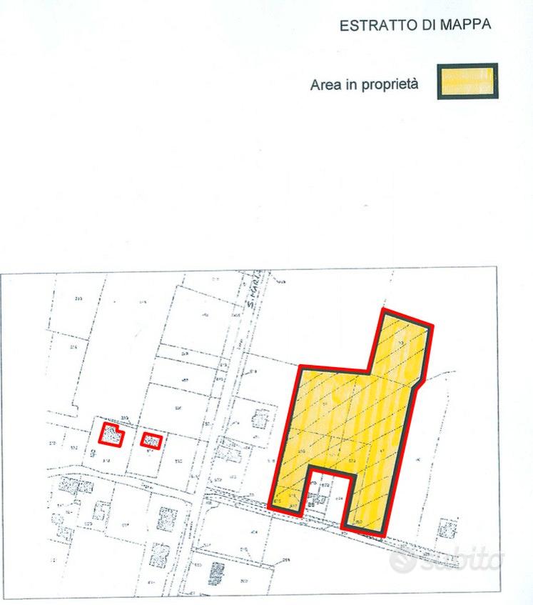 Terreno agricolo sempre coltivato e ben tenuto - Vista 6