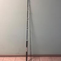 Canna Tubertini Gorgona