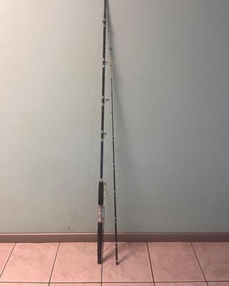 Canna Tubertini Gorgona