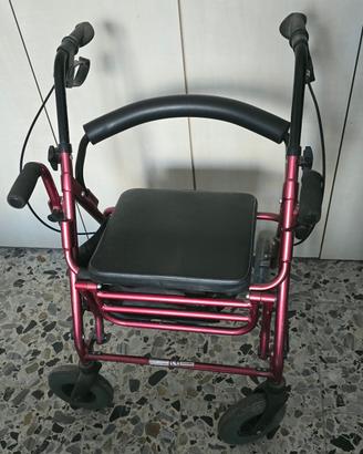 deambulatore
