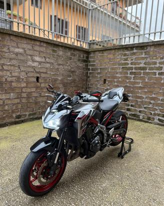 Kawasaki z900 performance 2019