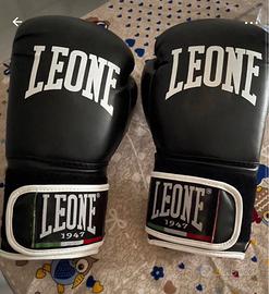 Guantoni boxe