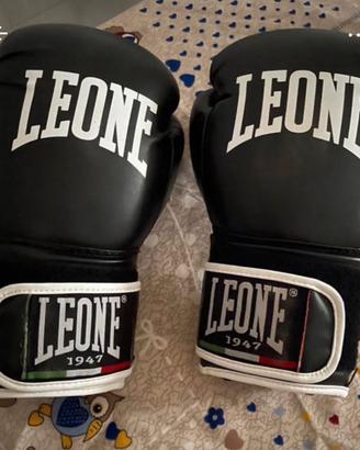 Guantoni boxe