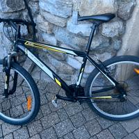 Mtb bicicletta California