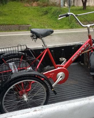 TRICICLO 