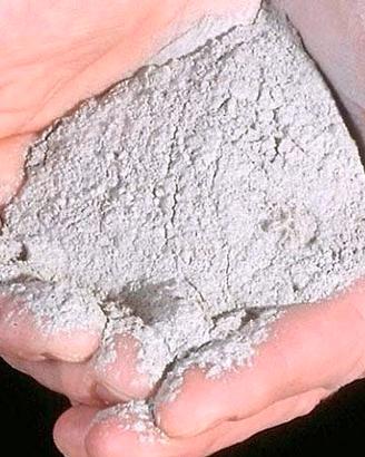 Cenere biologica