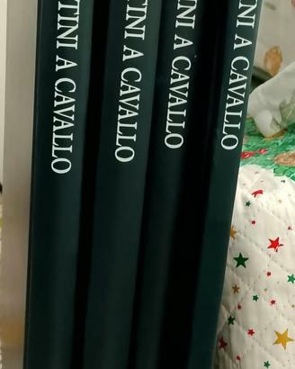 Enciclopedia soldatini a cavallo,  DeAgostini. 