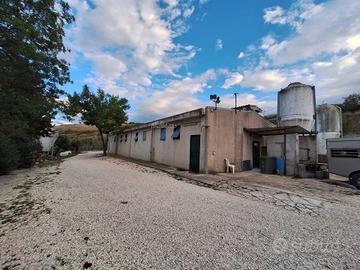 Attività commerciale - Maltignano