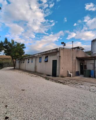 Attività commerciale - Maltignano