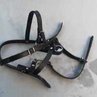 Pettorina cani ex esercito svizzero 