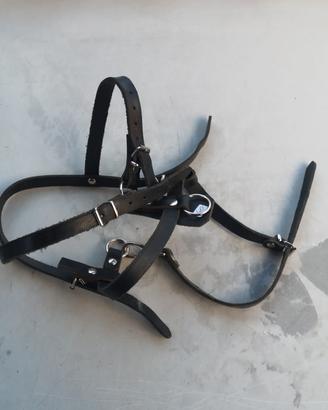 Pettorina cani ex esercito svizzero 