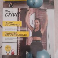 Palla da Ginnastica/Yoga Crivit Anti-Scoppio 65 cm