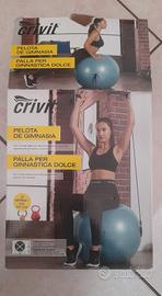 Palla da Ginnastica/Yoga Crivit Anti-Scoppio 65 cm
