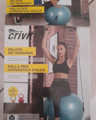 Palla da Ginnastica/Yoga Crivit Anti-Scoppio 65 cm