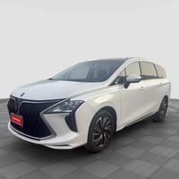 FORTHING U-Tour U-Tour 1.5 TGDI 5 posti