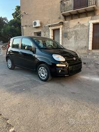 Panda 1.2