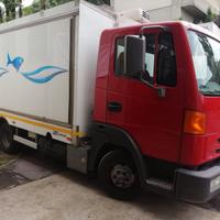Veicolo commerciale nissan atleon usato
