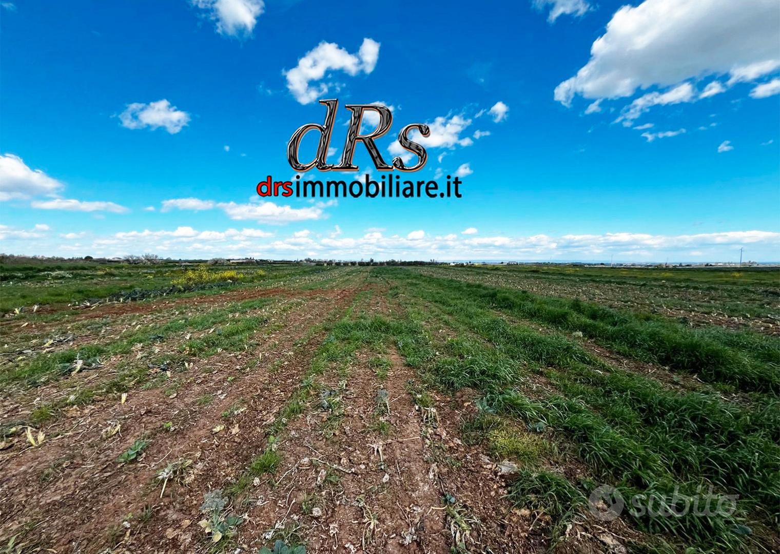 Agro di Marconia. Terreno agricolo di 3 ettari - Vista 3