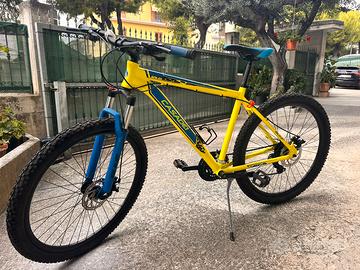 Bicicletta Casadei