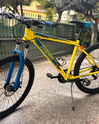 Bicicletta Casadei