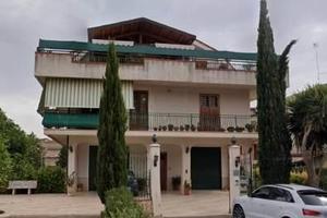 RGE 29/2023 Trib ENNA