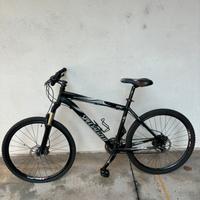 MTB Specialized