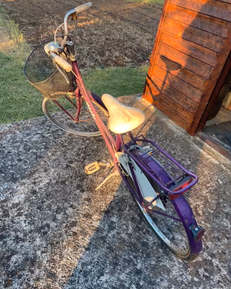Bici atala