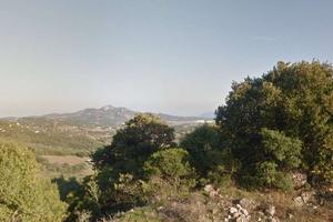 7 Ettari di Natura e Privacy a 10 Minuti da Olbia