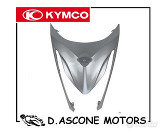 Scudo anteriore antracite scais opaco