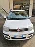 fiat-panda-1-3-mjt-16v-dpf-4x4-climbing