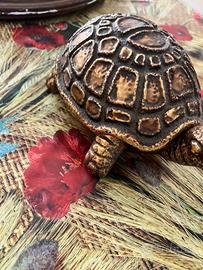 Porta oggetti tartaruga design AVORIN