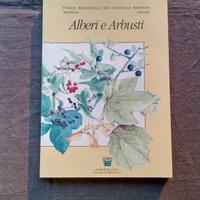 Lotto 5 libri parchi romani Colli Euganei Castelli