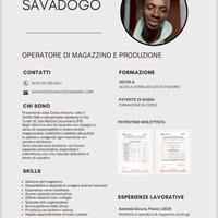 Pickista , muletista