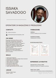 Pickista , muletista