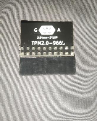 TPM 2.0 20-1pin tipo GA (per Asus e Gigabyte)
