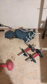 Dischi in ghisa Weider