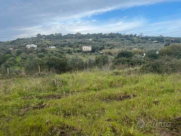 Terreno con casetta C2