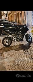 Triumph Tiger 1050  2007
