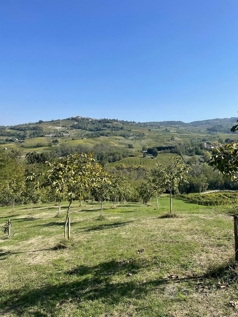 Terreno Agricolo - Montecalvo Versiggia - Pavia - Vista 3