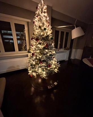 albero