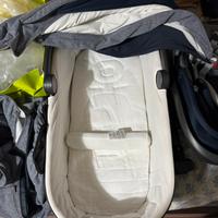 Trio inglesina aptica