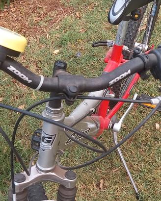 bicicletta ragazzo
