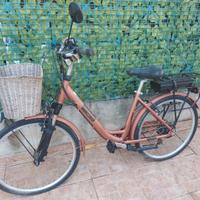 Bicicletta elettrica con pedalata assistita 