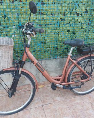 Bicicletta elettrica con pedalata assistita 