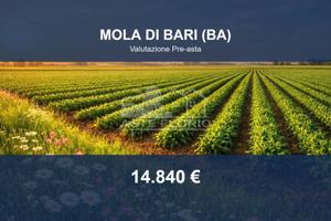 Immobile in asta di 13094 m² a Mola di Bari