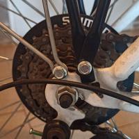 Citybike Daytona con cambio shimano