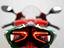 Immagine 24